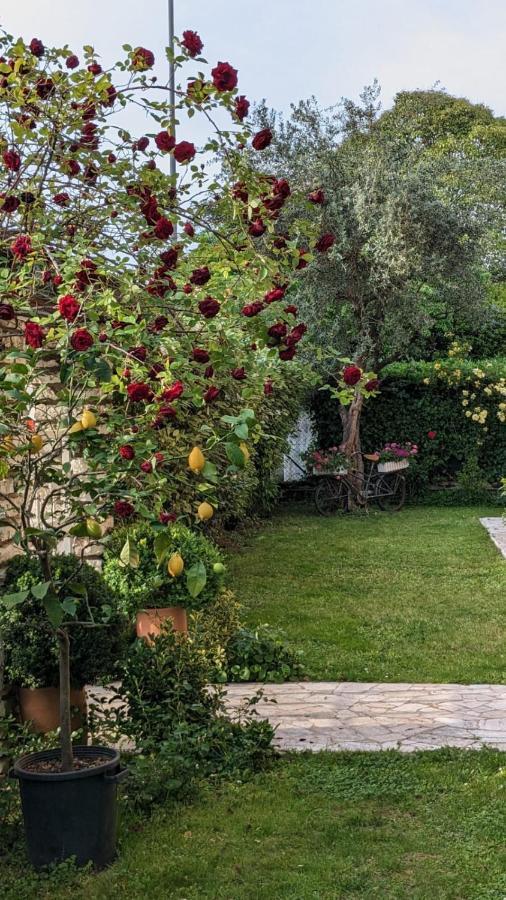 Agli Aceri Bed & Breakfast